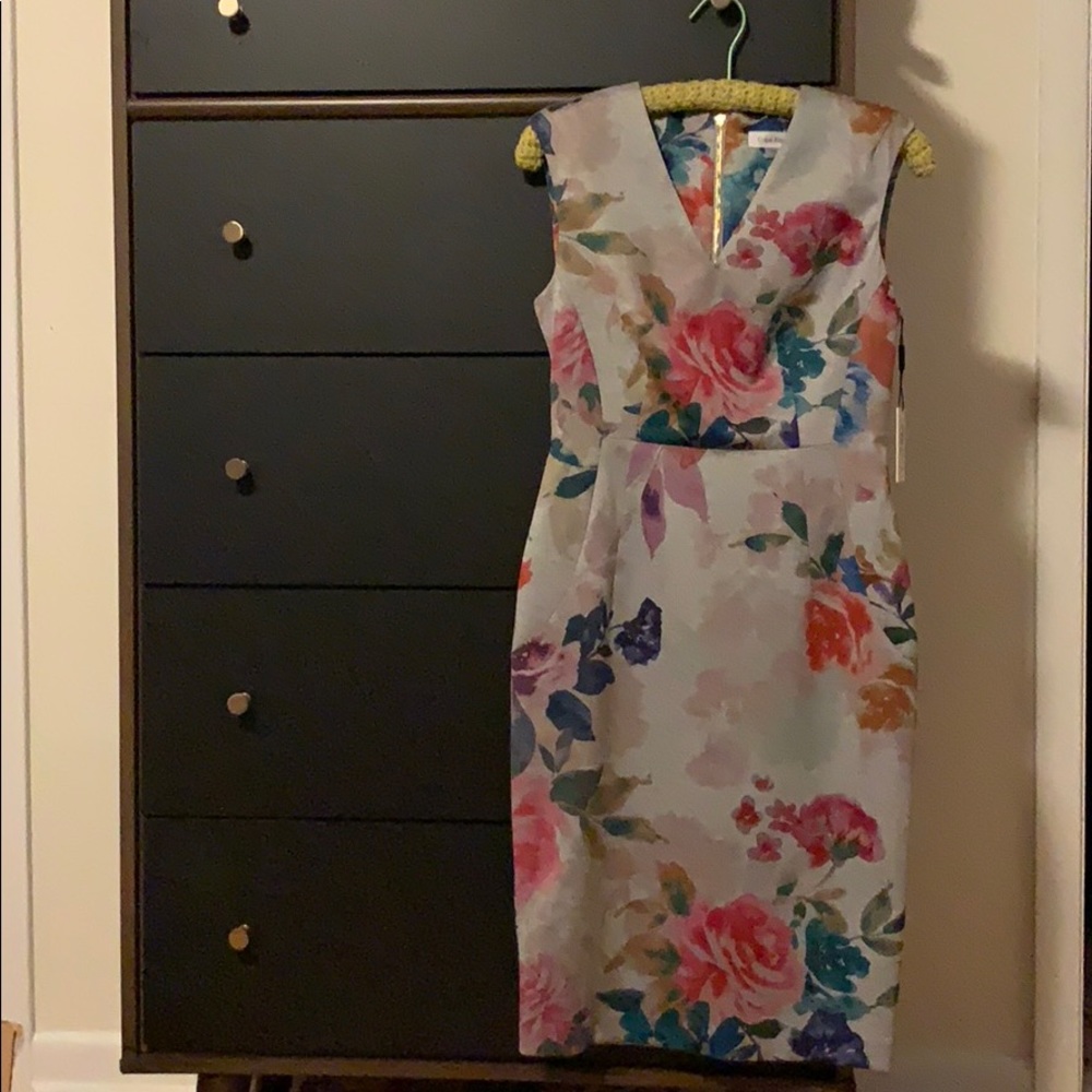 Calvin Klein Women’s Dress Size 6.